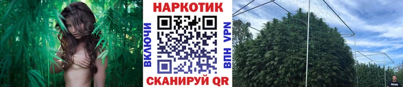 Наркотические вещества Агидель Героин  МЕФ  Гашиш  COCAIN  APVP 