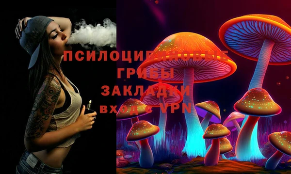 прущая мука Абаза